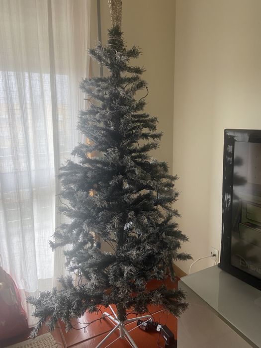 Árvore de Natal 170cm