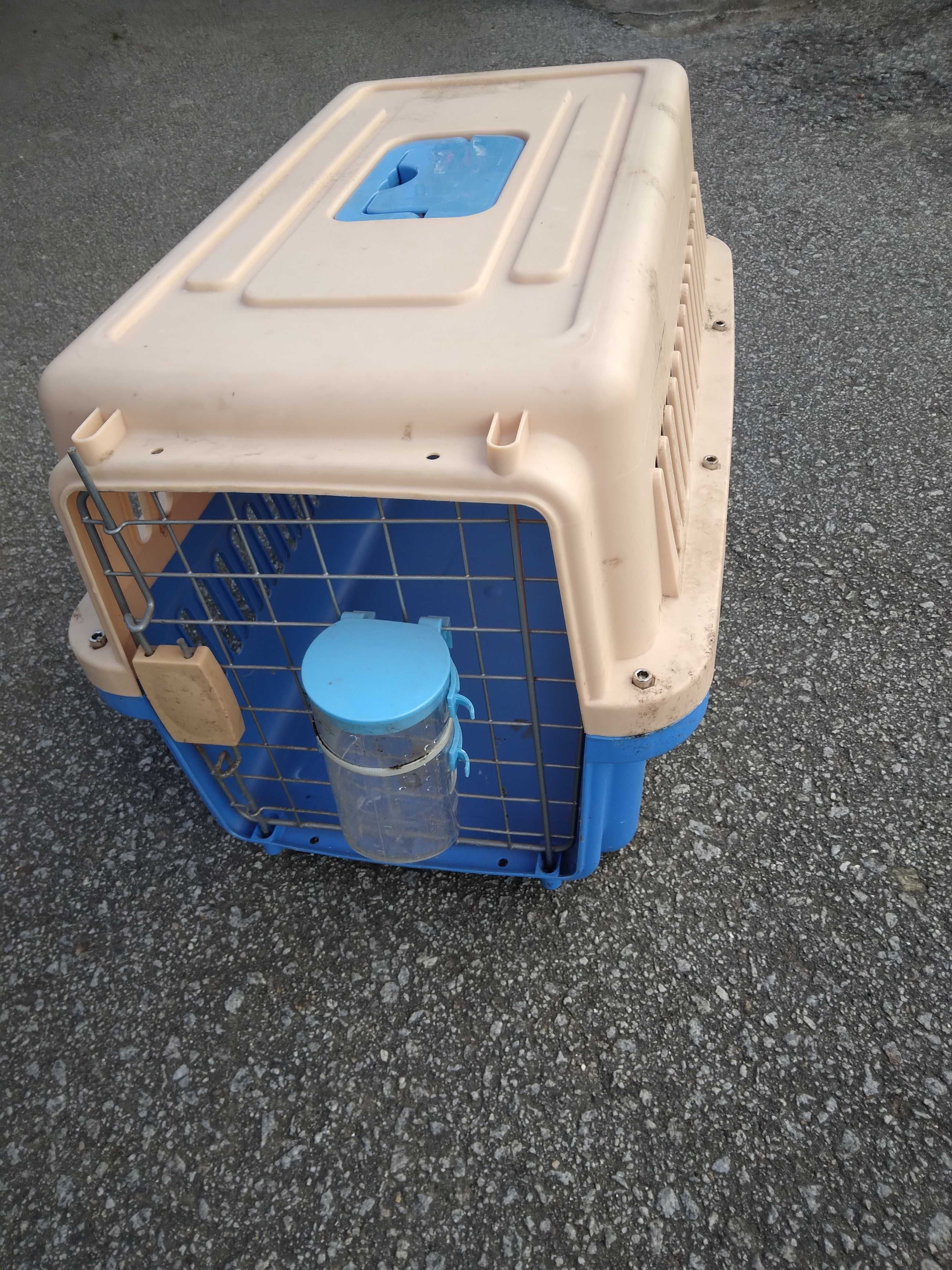 gatos felizes - caixas transportadoras