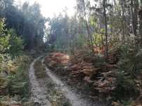 Terreno  para venda