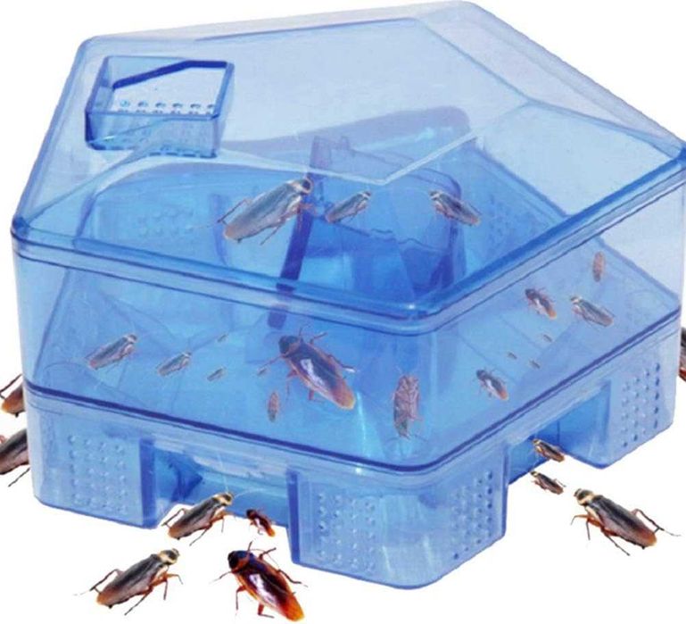 Armadilha para Baratas Reutilizável