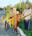 Продам шотландский пони