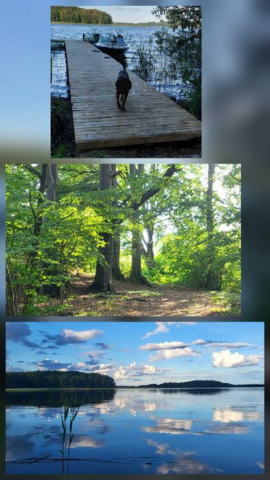 Sprzedam działkę nad Jez. Drawsko pierwsza linia brzegowa- rolna 600m2