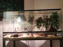 Sprzedam Terrarium