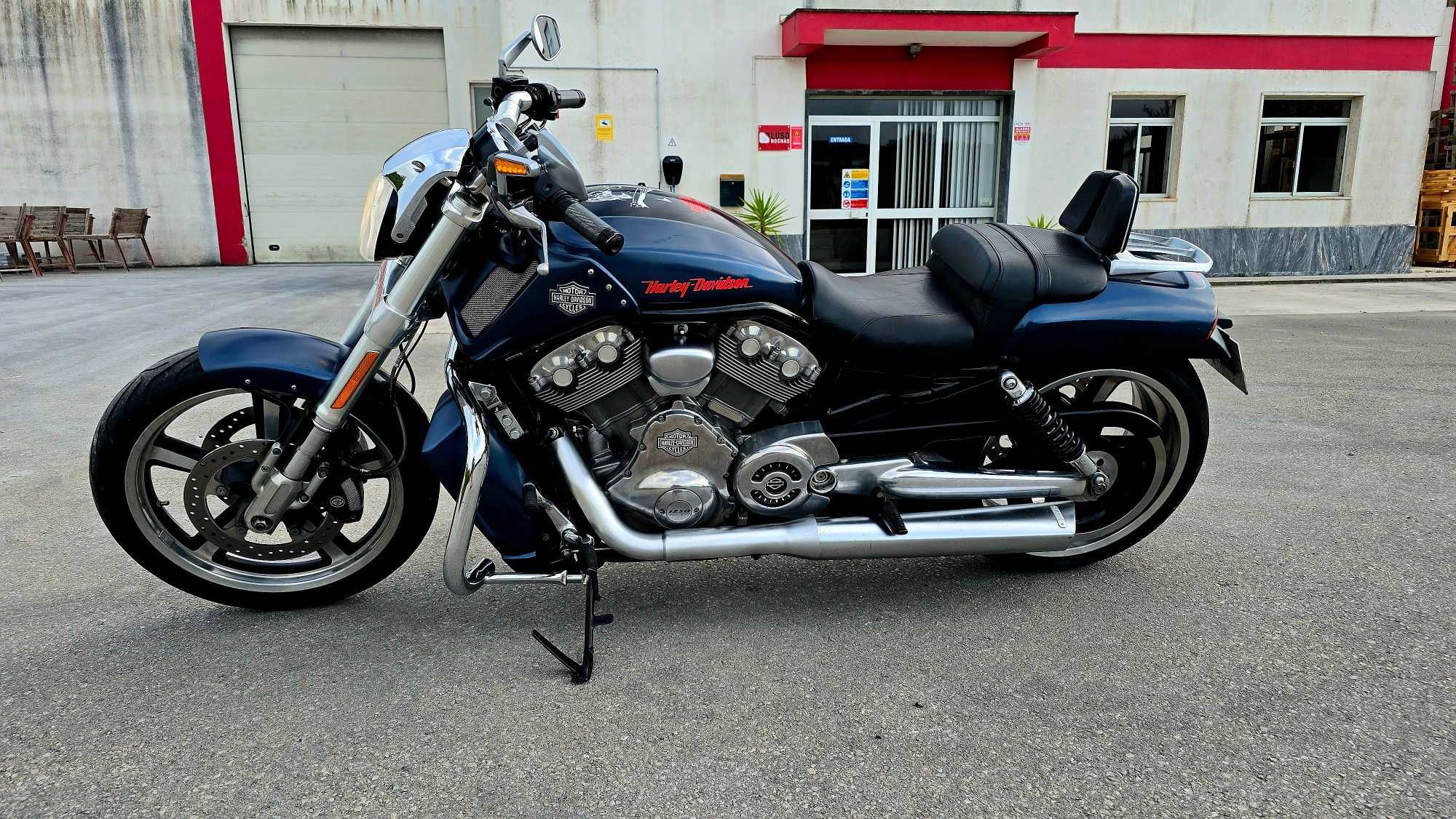 Harley Davidson V-Rod Muscle – Apenas 14.000 km