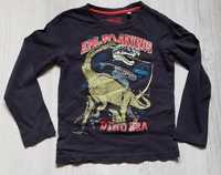 Cienka bluza, koszulka z dinozaurem r. 110
