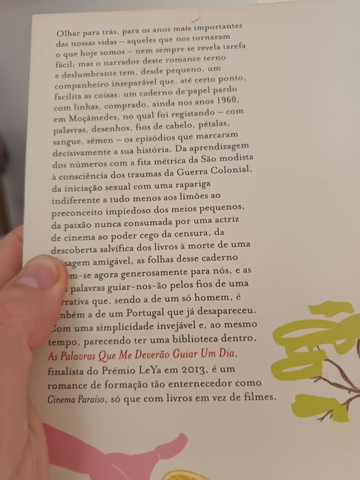 As palavras que me deverão guiar um dia - António Tavares