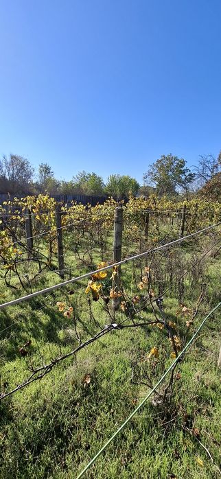 Продам дом Одесская область,  Раздельнянский район