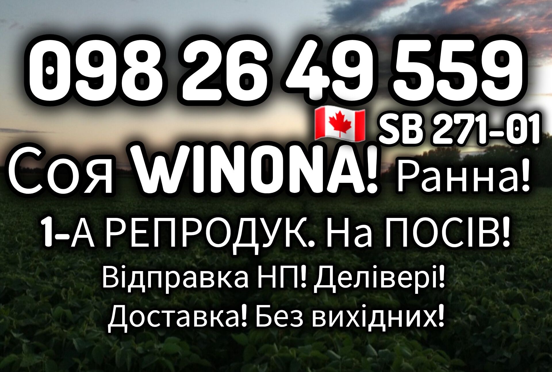 Нова Канадська соя ВІНОНА[SB 271-01] 1-А репродуція! Відправка поштою!