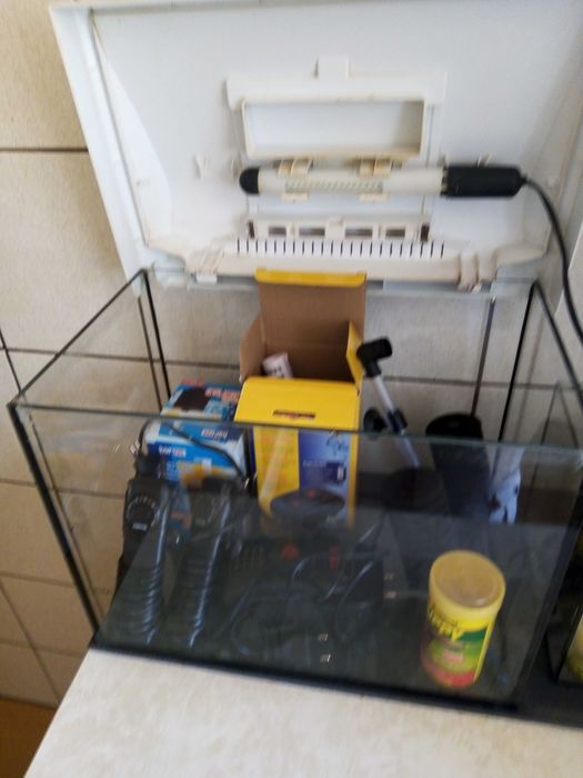 akwarium dla dzieci