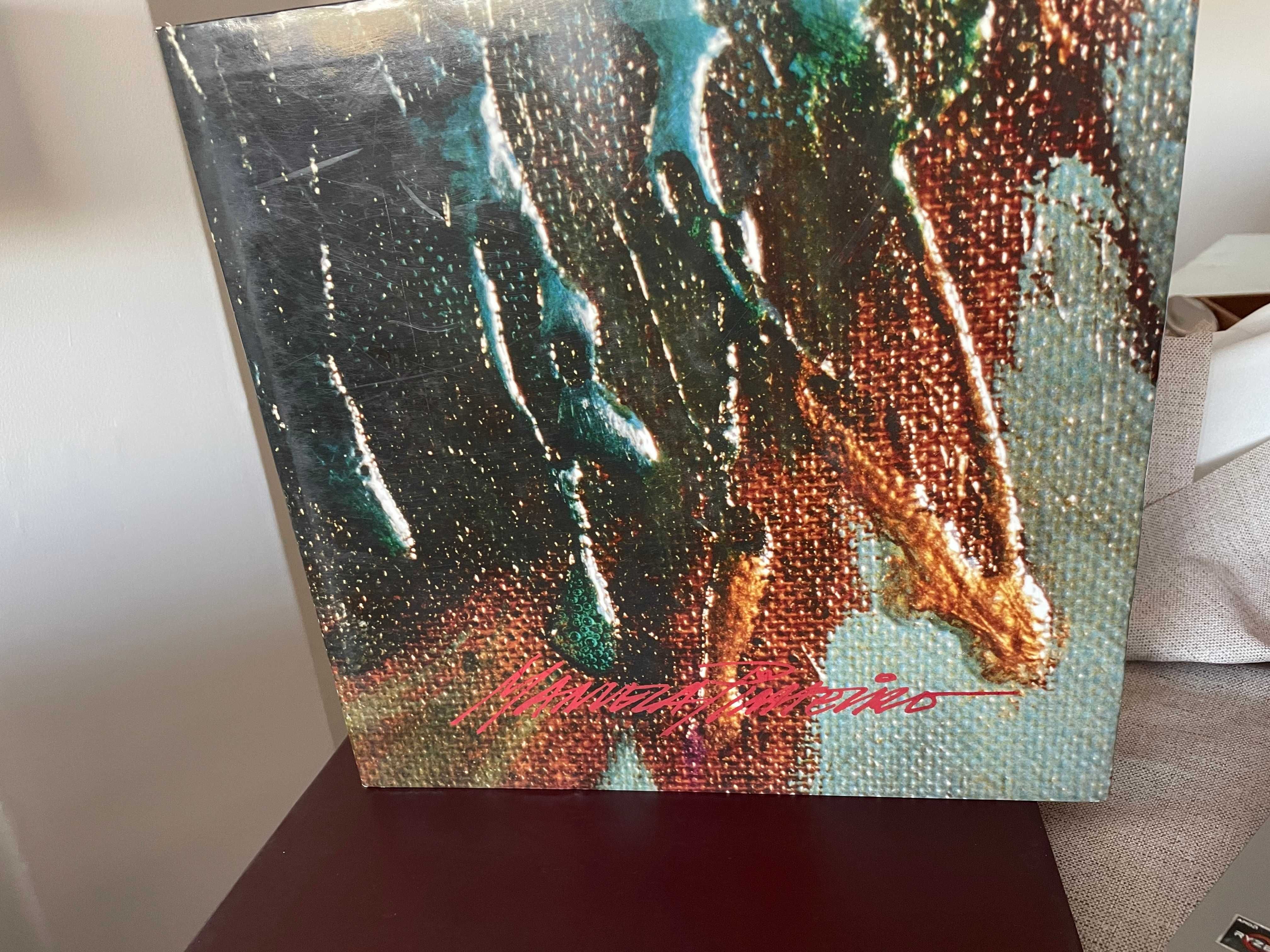 Livro de pintura Manuela Pinheiro