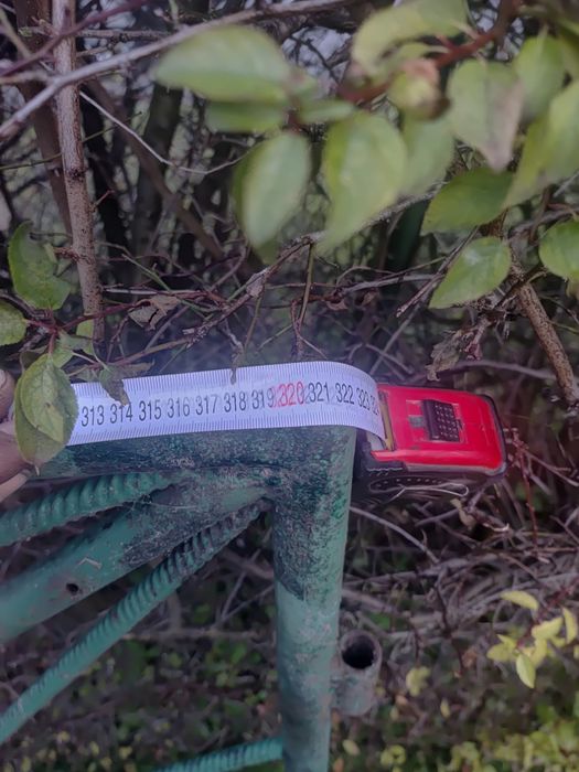 Brama wiazdowa 320x150cm stalowa używana