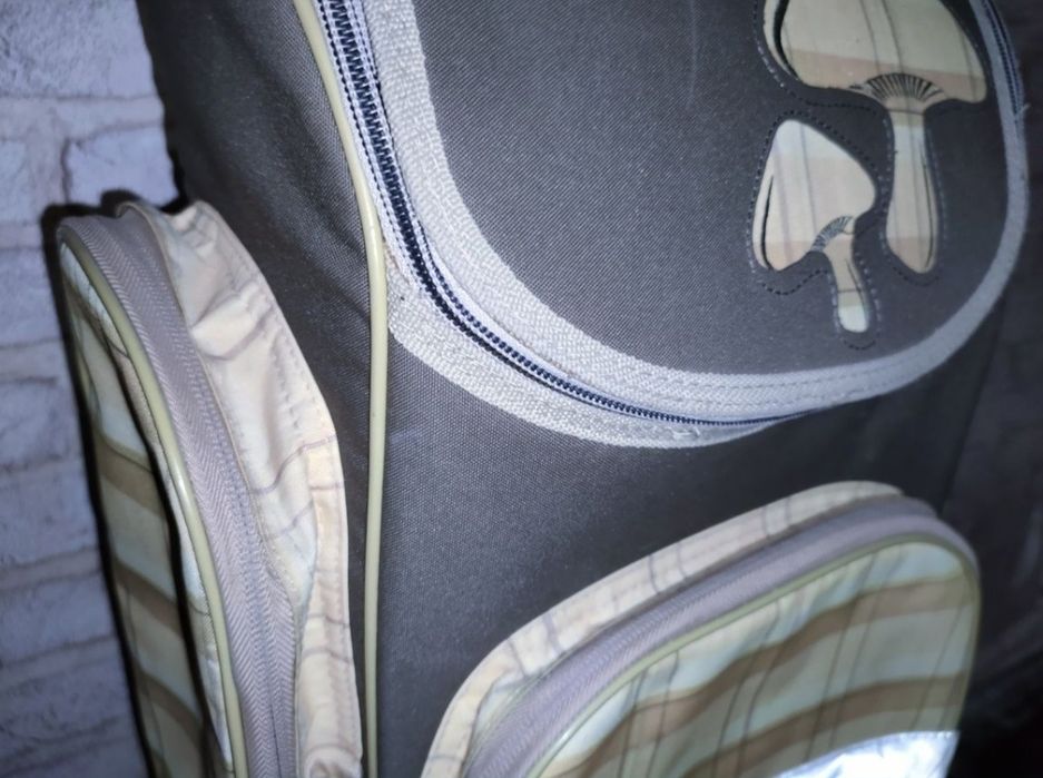 Шкільний ортопедичний рюкзак портфель