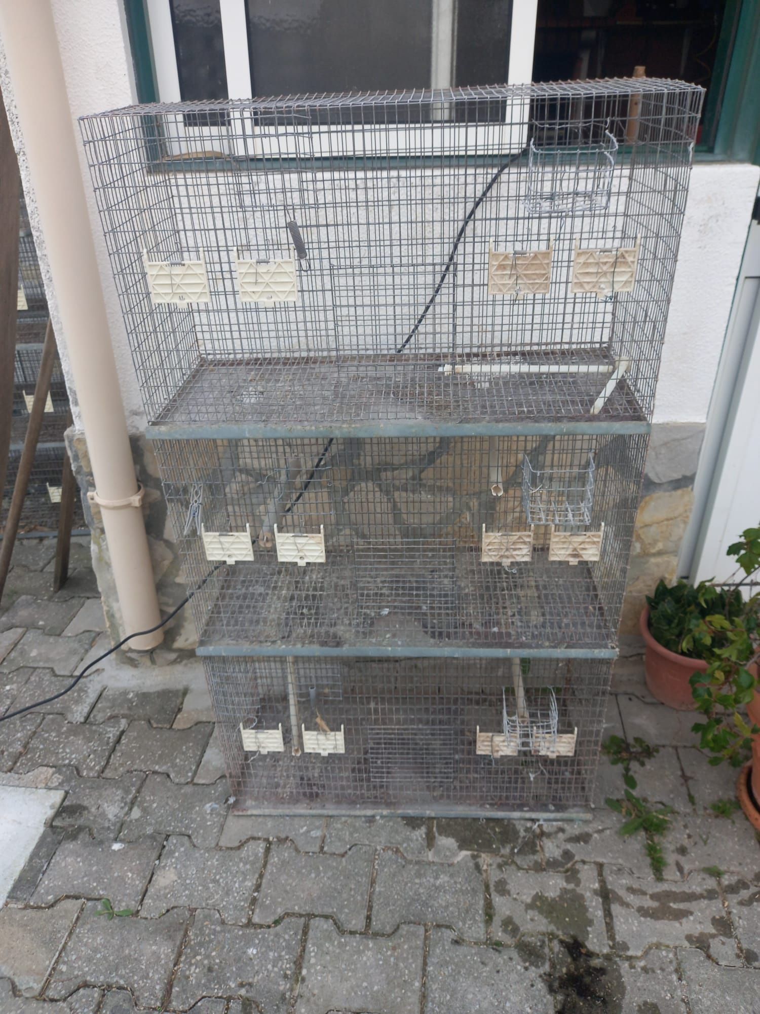 Gaiolas de criação de aves