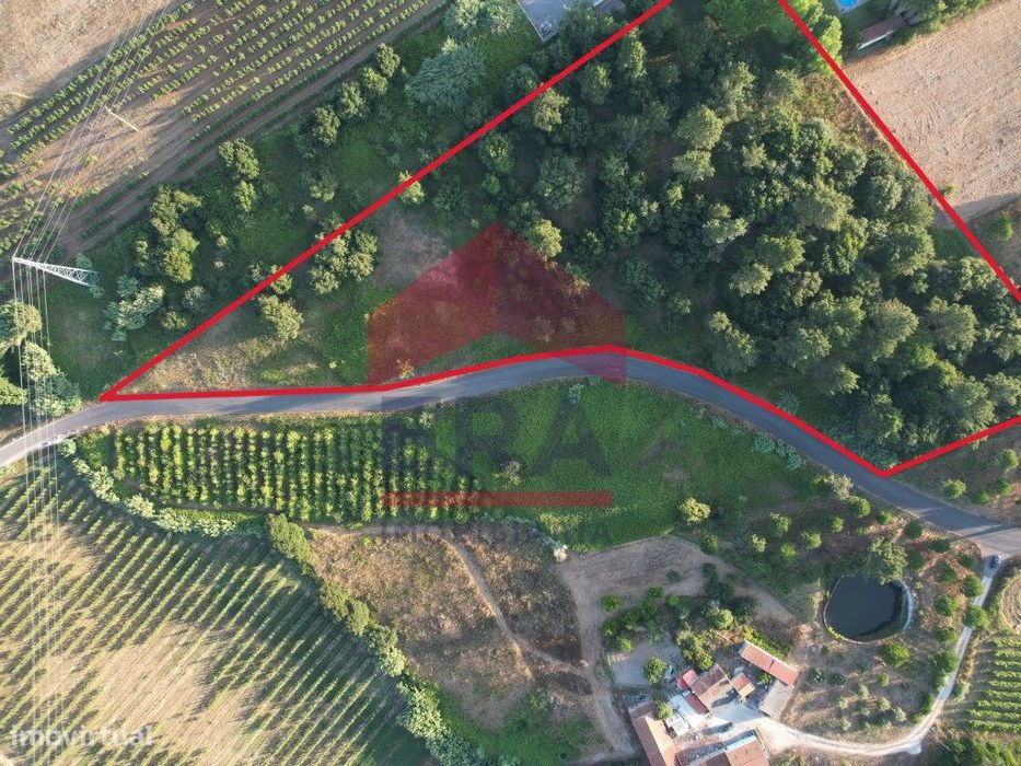 Terreno urbano com 5137,070m2 localizado em São Gregório - Caldas d...