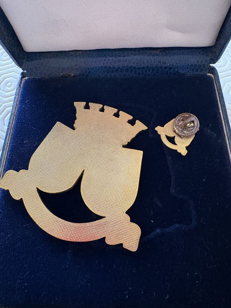 Medalha pin misericordia espinho