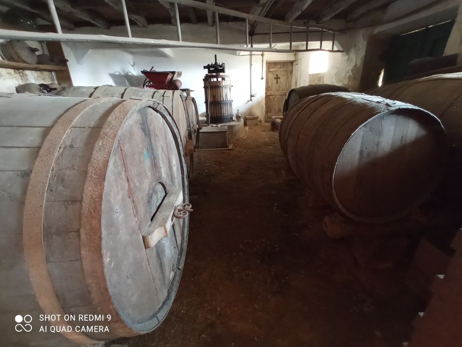 Pipos de vinho antigos