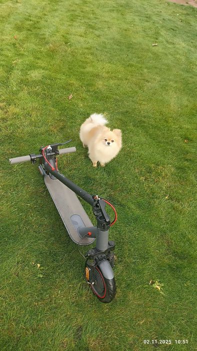 єлектросамокат про