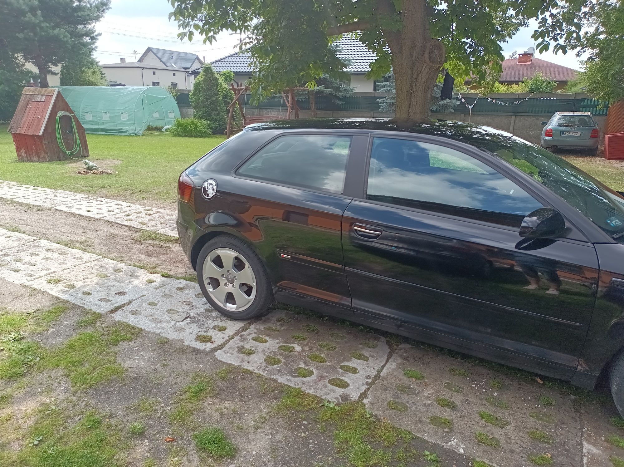 Audi A3 8p 1.9TDI