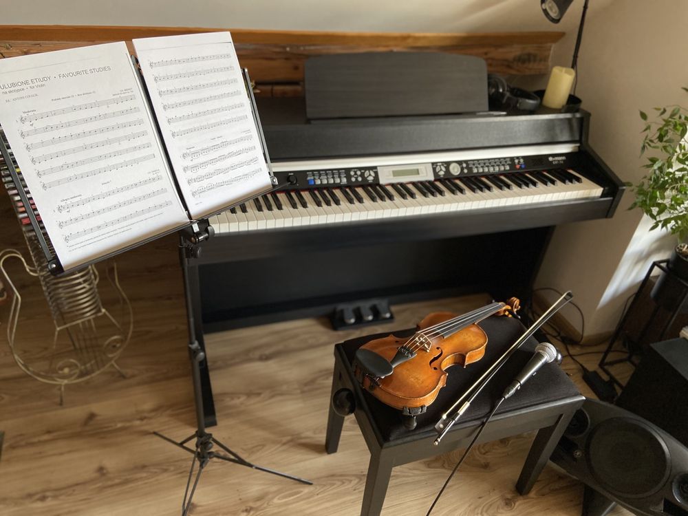Lekcje Śpiewu, lekcje skrzypiec, lekcje pianina/keyboardu