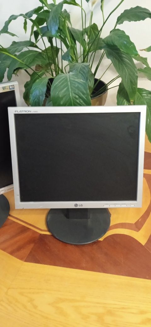 Монитор LG 15.рабочий