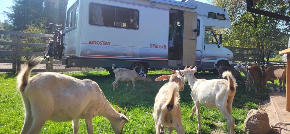 Kamper. kamper wynajem. wynajem kampera. camper wynajem. kamper camper