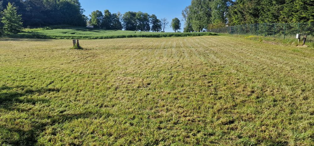 Dzierżawa działki rekreacyjnej nad jeziorem Dzierzgoń