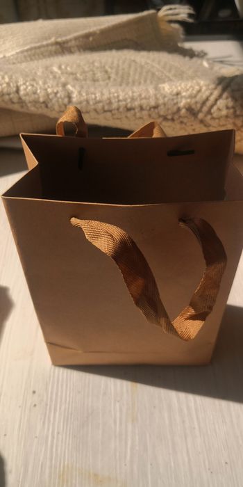 Castanhas produção 2025