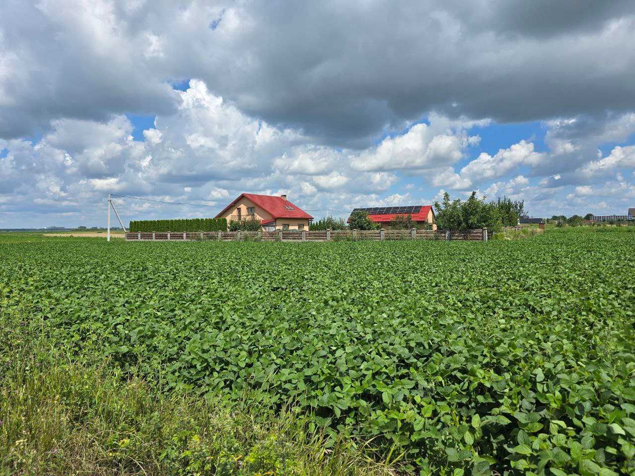 Продаж земельної ділянки | 0,1154 га | Новостав