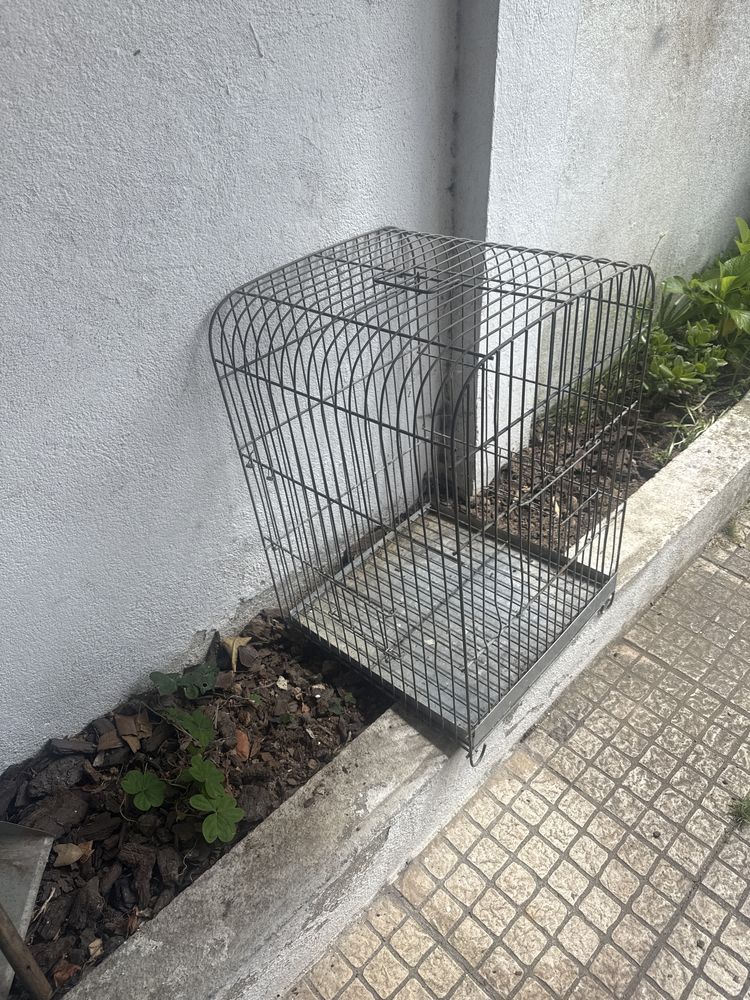 Gaiola papagaio usada mas em bom estado