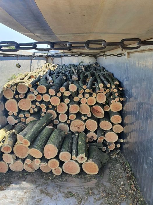 Дрова акація, дуб, тополь