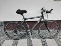 Rower męski Cycle Wolf Cross trekkingowy alu rama 20.5 cali