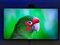 Телевизор Lg 55" 4K + HDR Smart 55UM7450PLA
