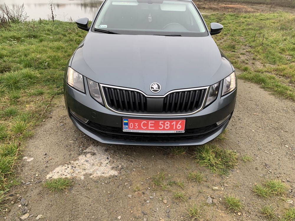 Skoda Oktavia A7 2018, 2.0 TDI