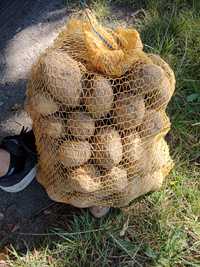 Ziemniaki jadalne Vinety pakowane po 15 kg