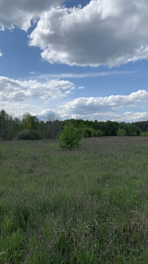 Ділянка-участок в мальовничому місці село Гаврилівка 10 соток