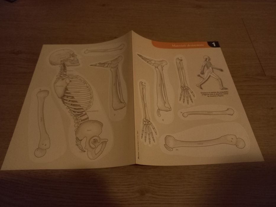 Conjunto material didático