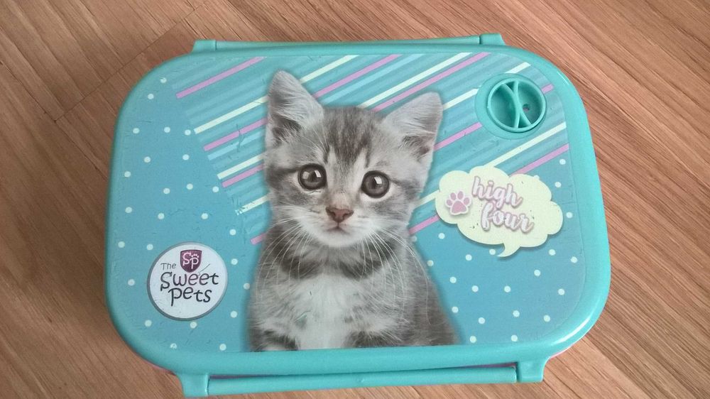 Śniadaniówka szary kotek (kot), pastelowe kolory