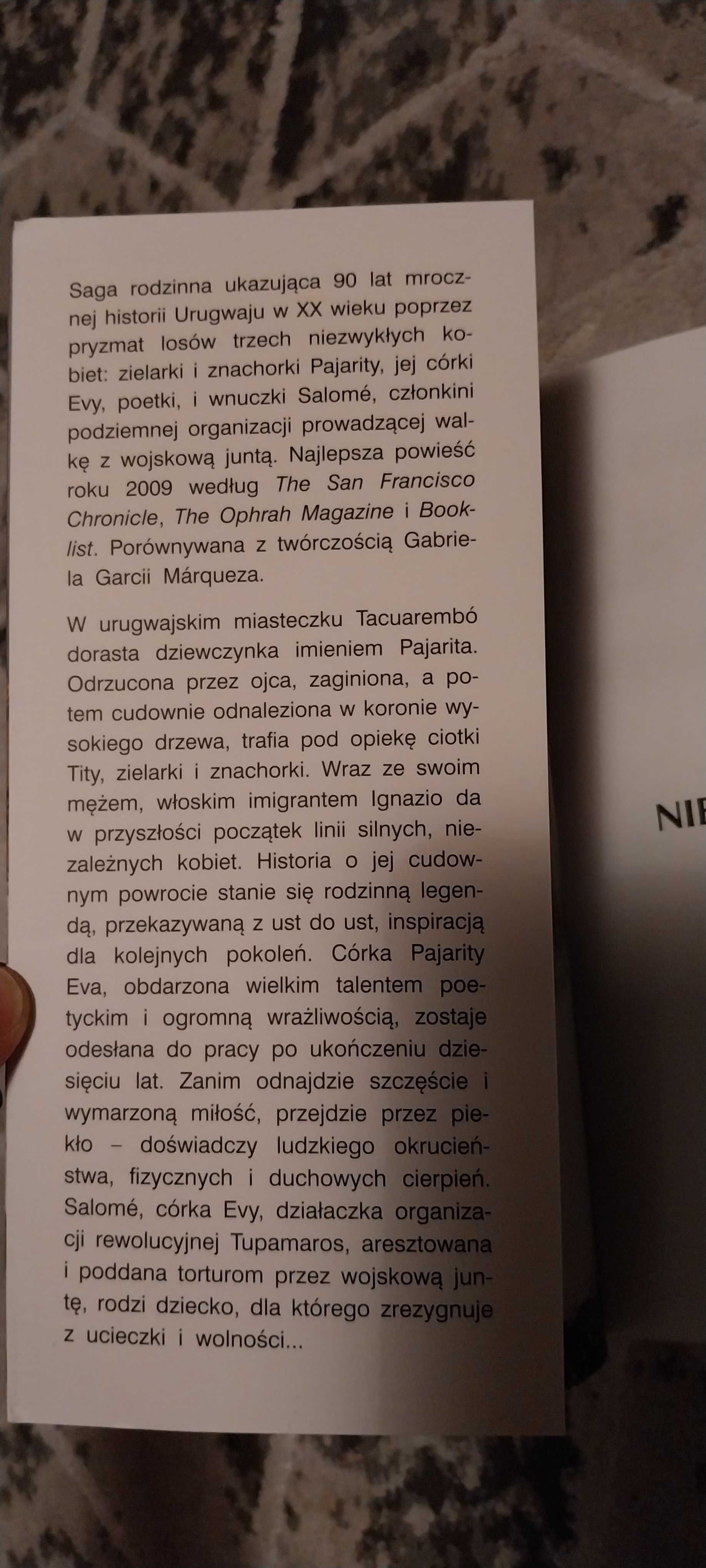 Książka.C de Robertis.Niewidoczna góra