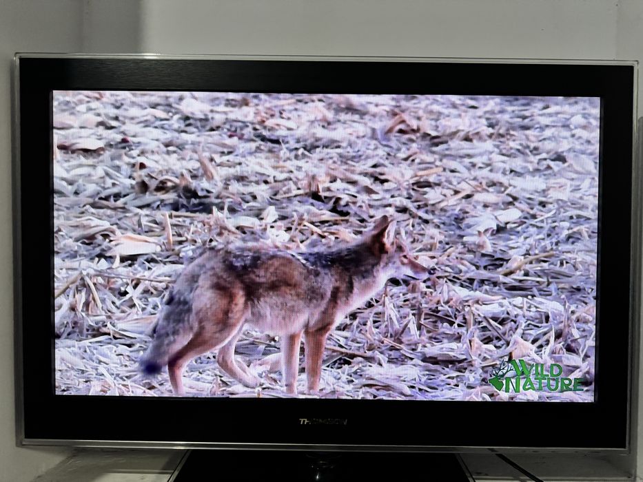 LED телевизор THOMSON 32 дюйма/ Запорожье