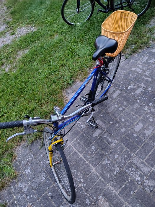 giant 28" rama stalowa