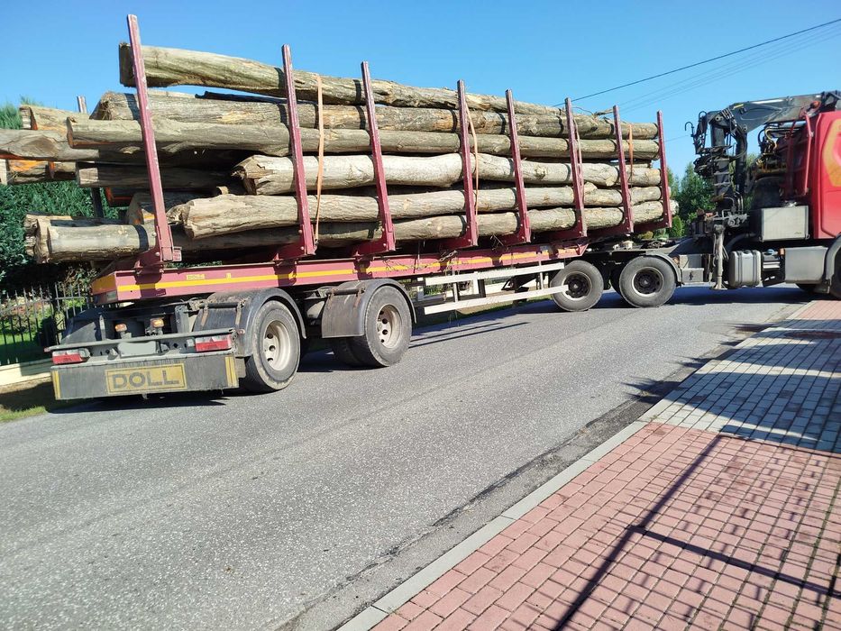 Buk/Grab/Dąb/Brzoza/Olcha Drewno Opałowe