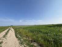 Działka rolna orna grunt, 5,5 ha
