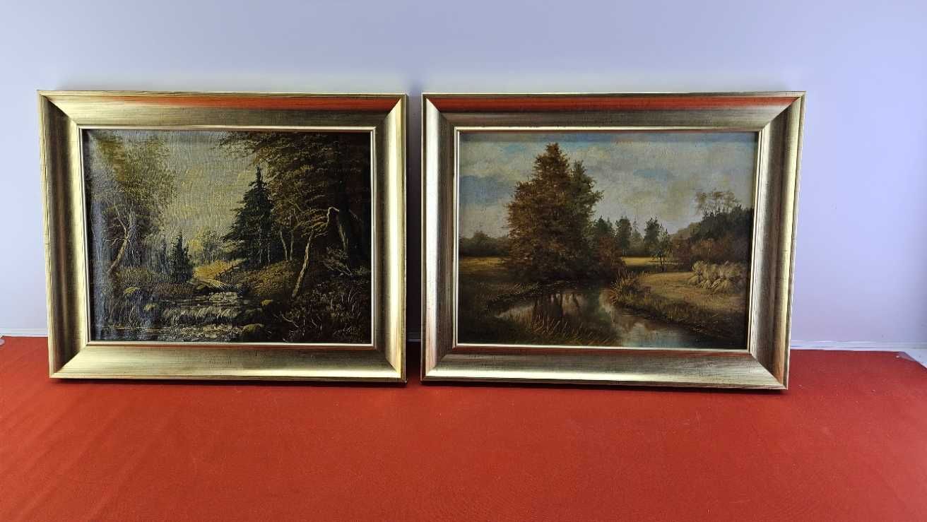 Zestaw 2 obrazów ramach 49x39 cm