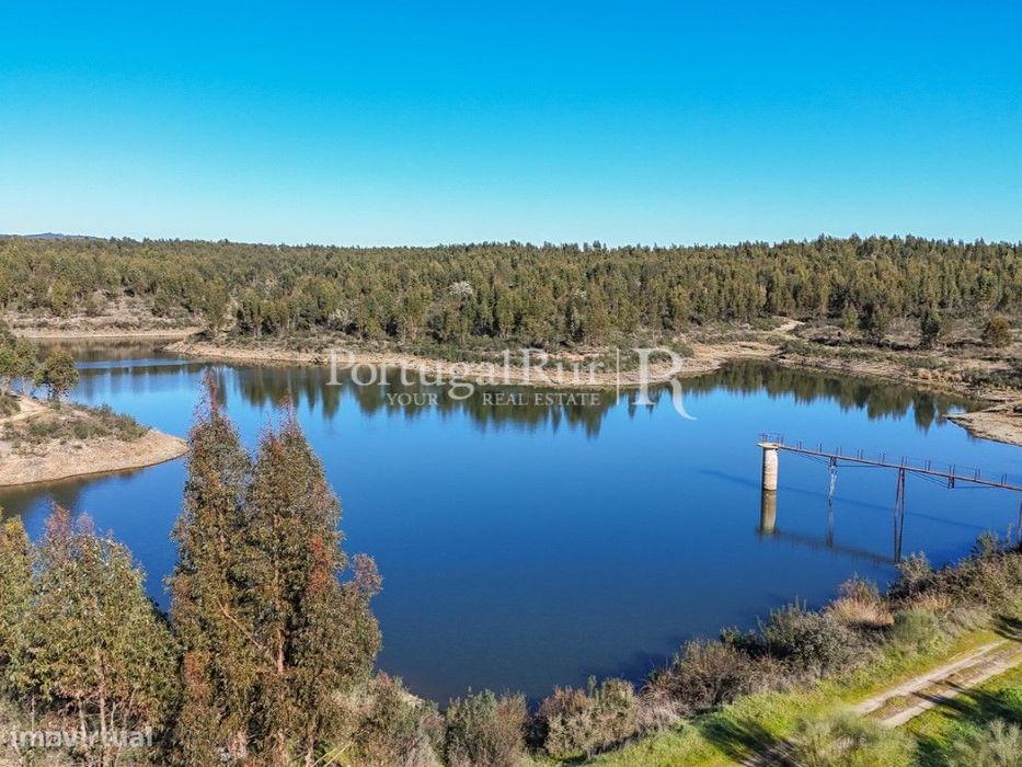 Herdade de 1000 ha com eucaliptal, ruínas e barragem