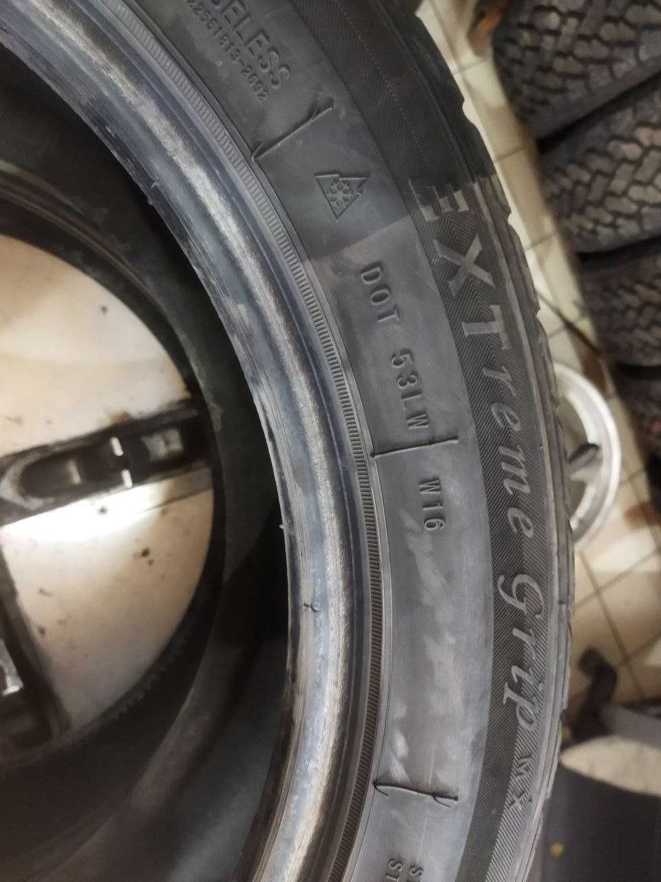 Пара шин Winter-Claw 225/55R18 98T EXTreme Grip mx