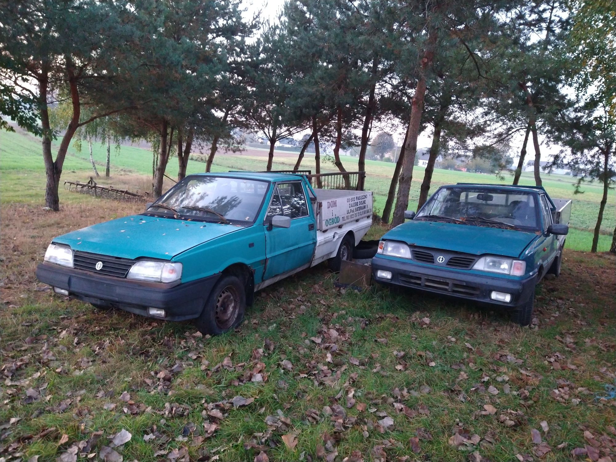 Polonez Truck Caro 1.9D 1.5B części