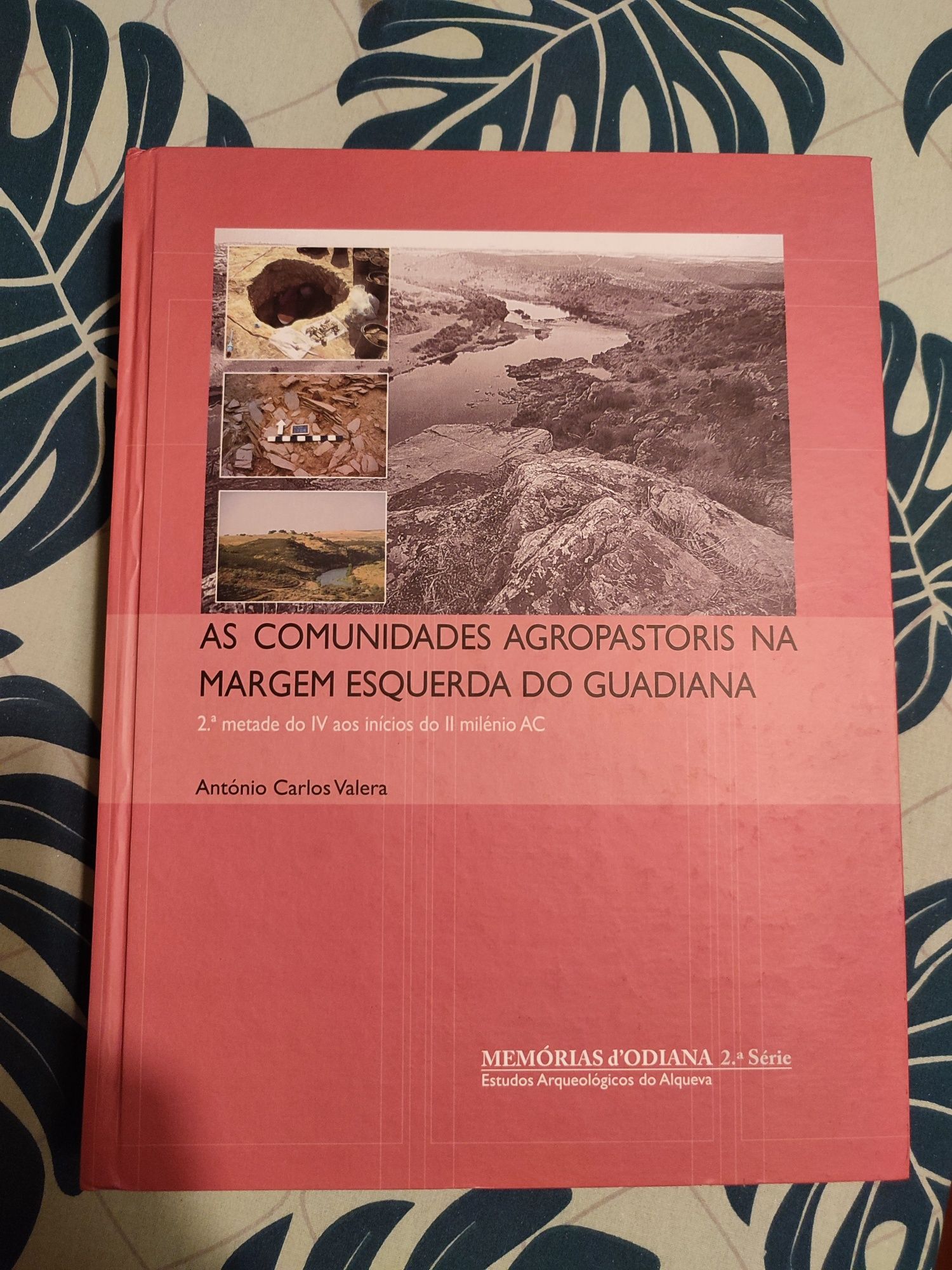 Estudos Arqueológicos do Alqueva