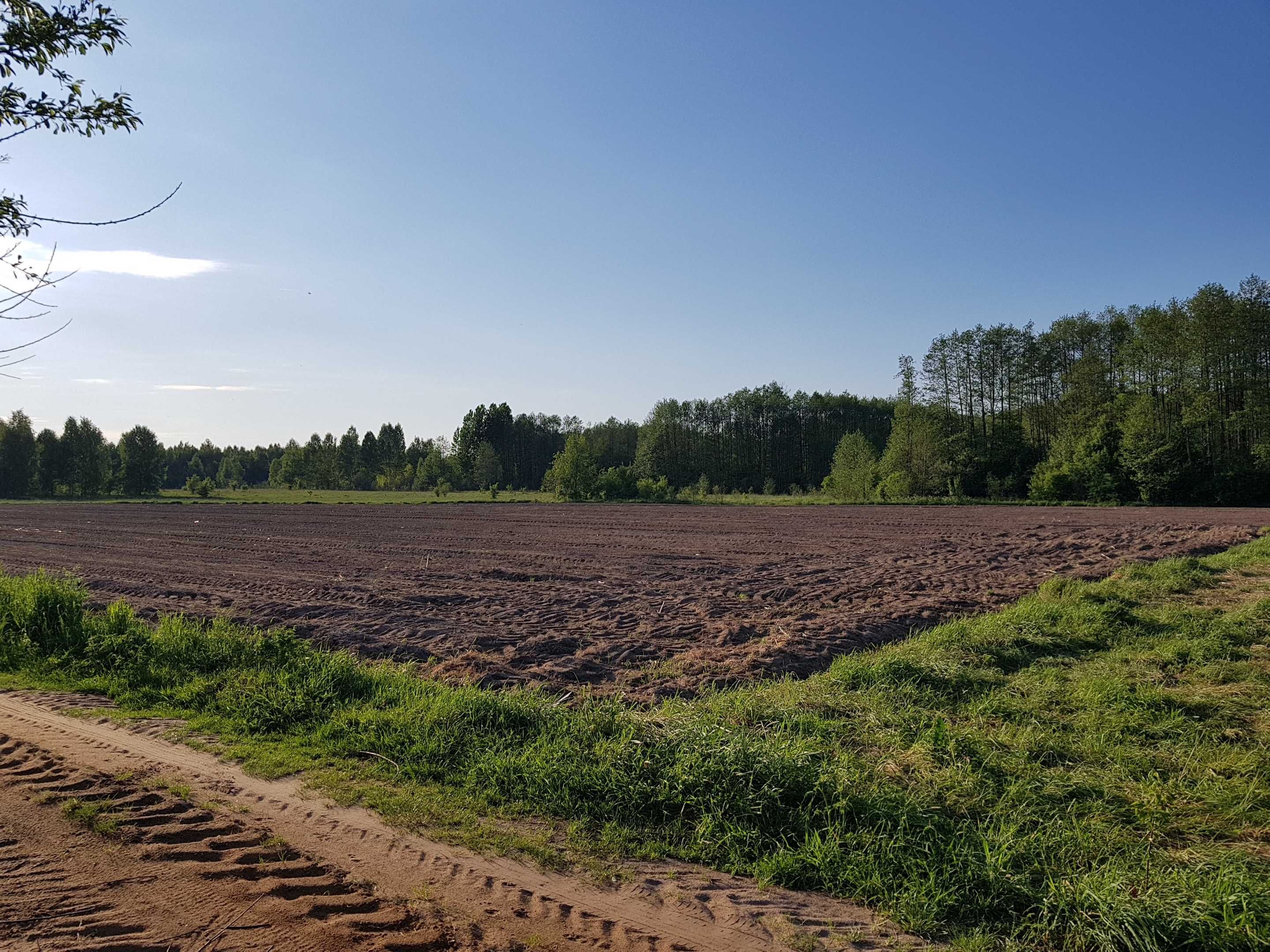 Działka budowlana 900 m2, wieś Rajki, na skraju wsi.