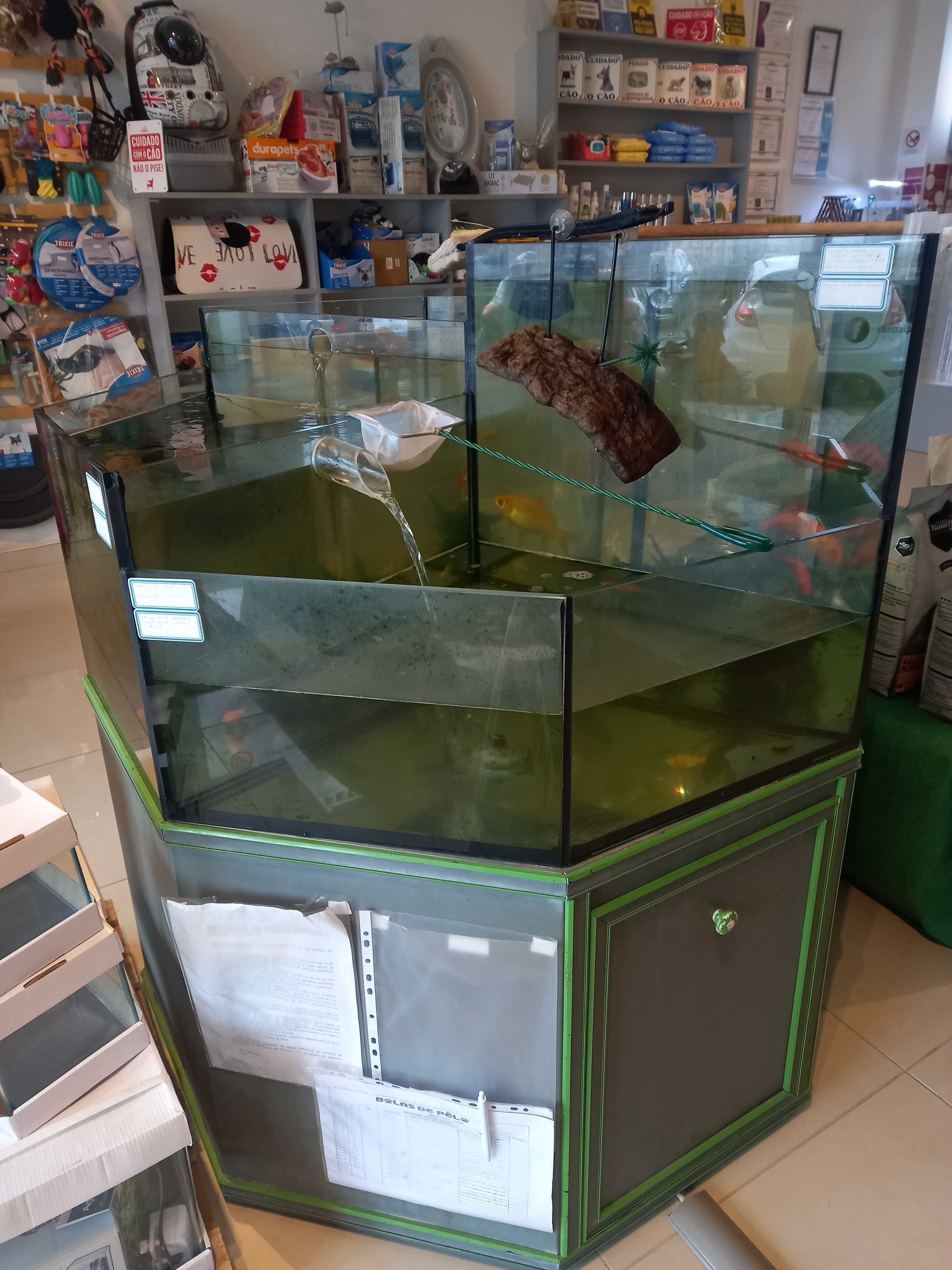 Aquário cascata para petshop