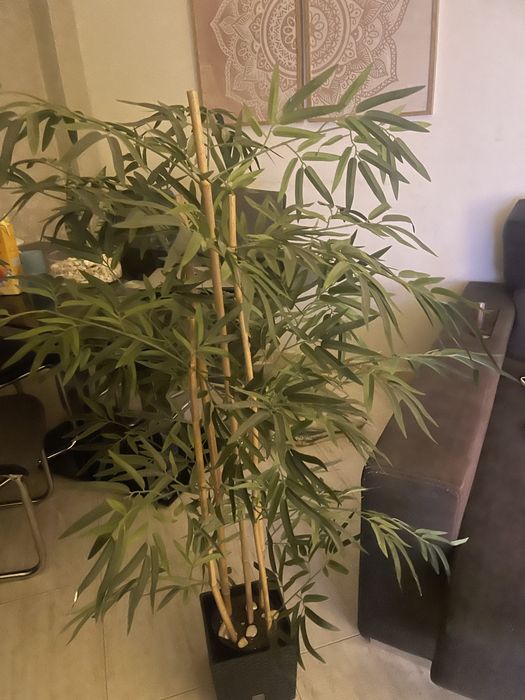 Planta artificial leroy